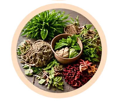 Herbs & Botanical Products