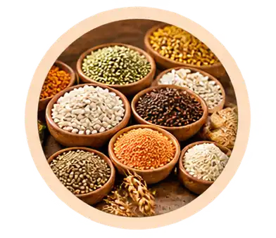 Grain & Pulse Processing
